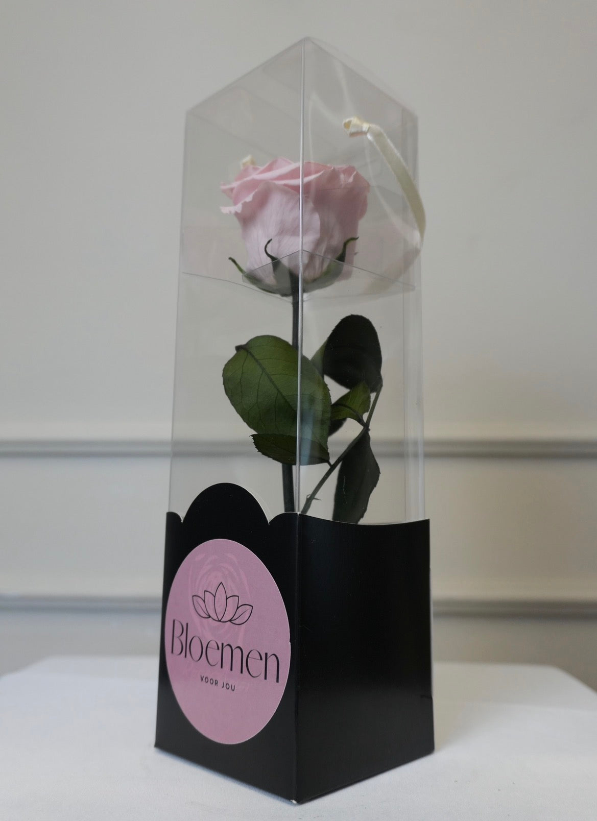 Forever Rose Pink