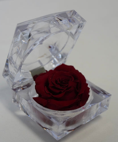 Forever mini box “red”
